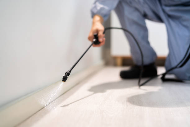 Licensed Termite Control service in Byng, OK - Nex Pest Control