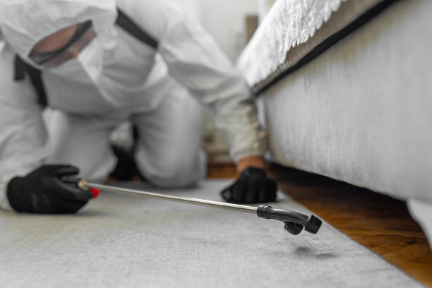 Professional Termite Control technician working in Byng, OK