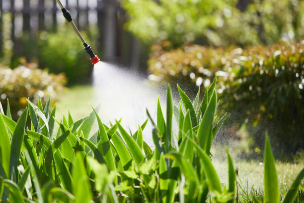 24/7 Emergency Termite Control experts in Byng, OK