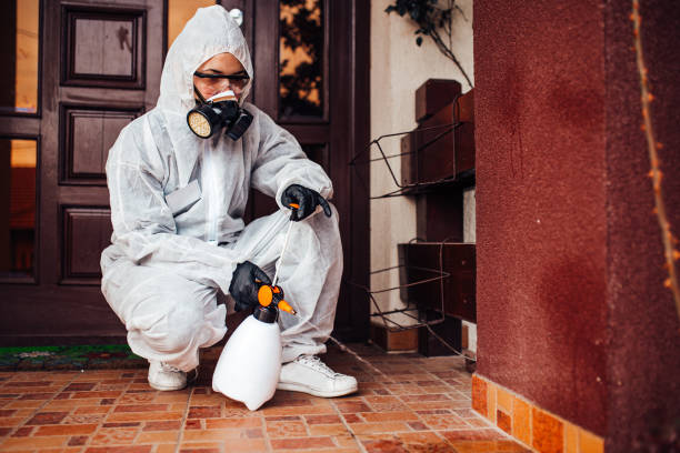Reliable Termite Control contractor in Byng, OK by Nex Pest Control