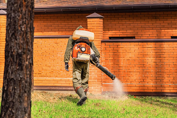 Top rated local Termite Control specialists in Byng, OK
